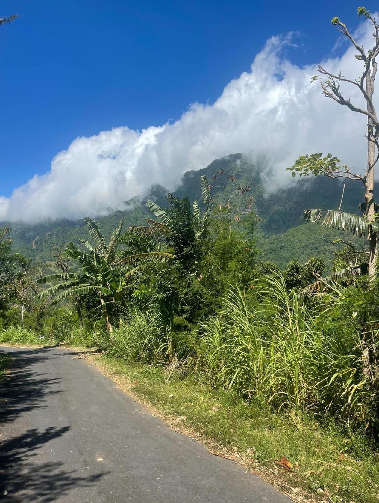 Tropical Habitat Bali Βίλα Αμέντ Εξωτερικό φωτογραφία