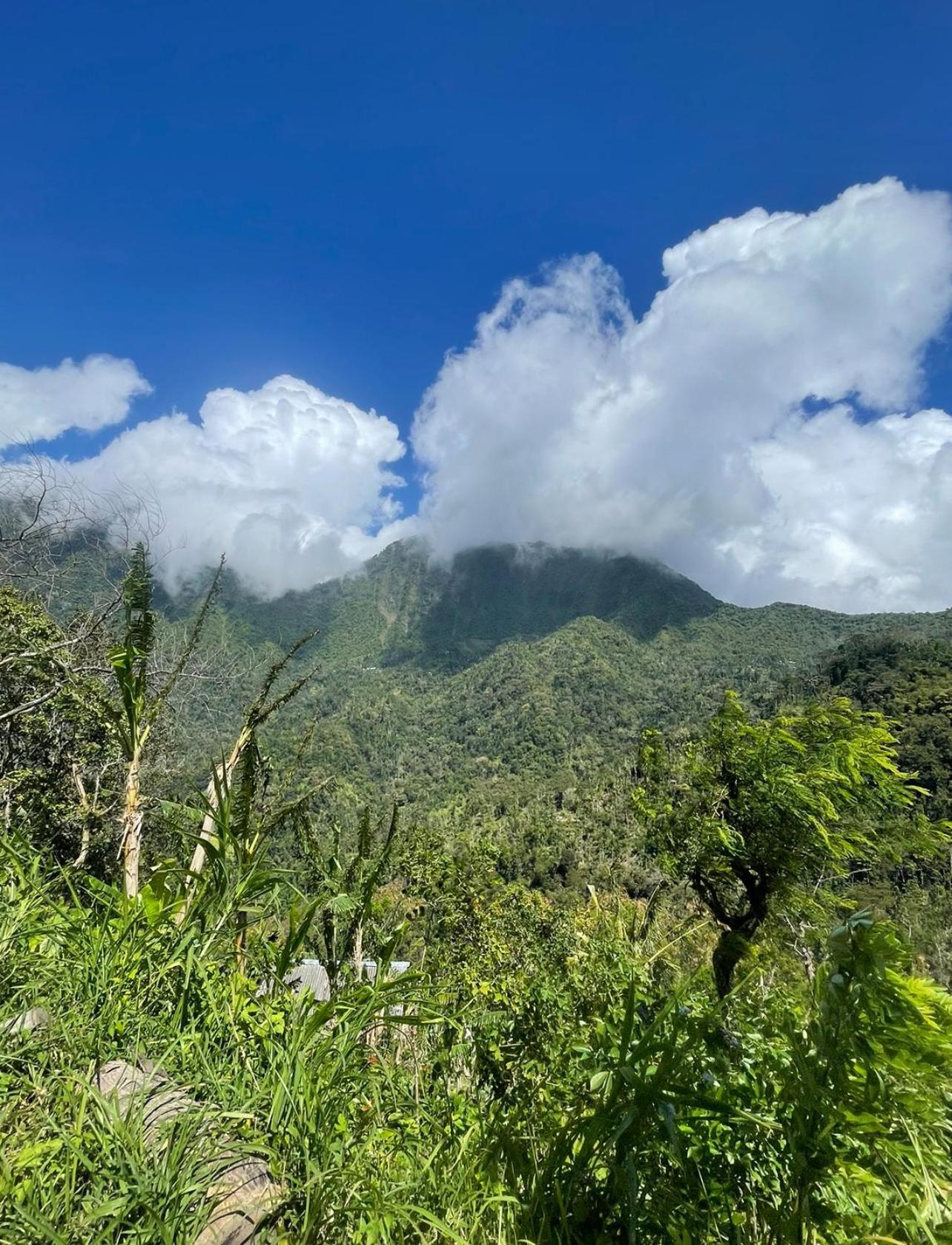 Tropical Habitat Bali Βίλα Αμέντ Εξωτερικό φωτογραφία