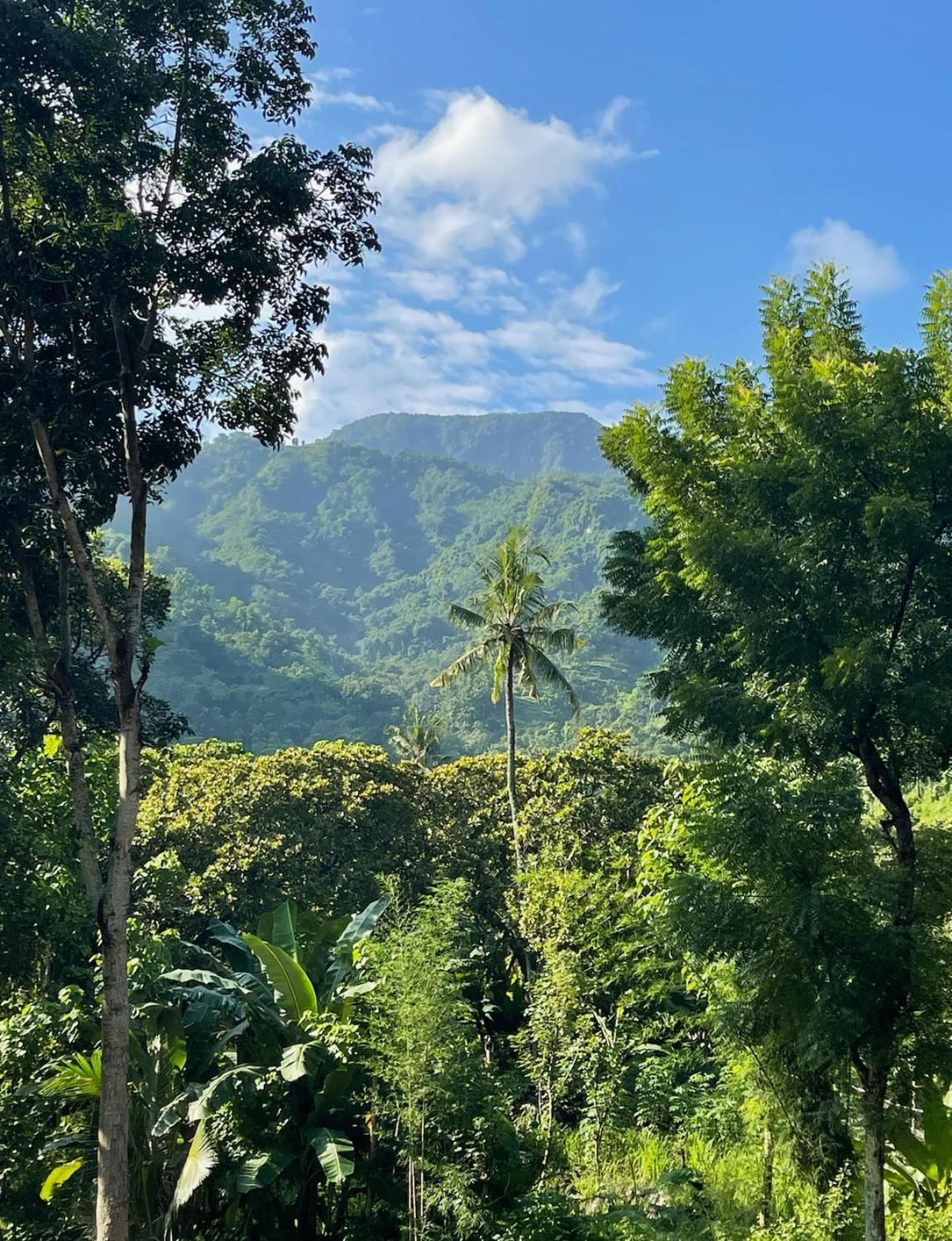 Tropical Habitat Bali Βίλα Αμέντ Εξωτερικό φωτογραφία