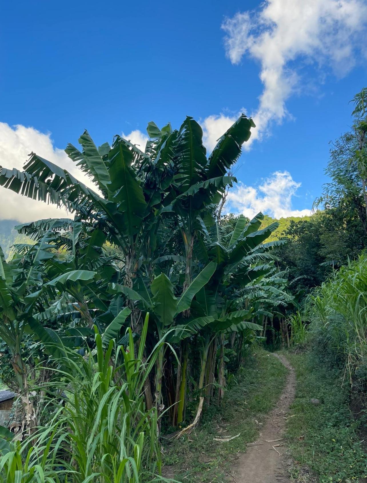Tropical Habitat Bali Βίλα Αμέντ Εξωτερικό φωτογραφία