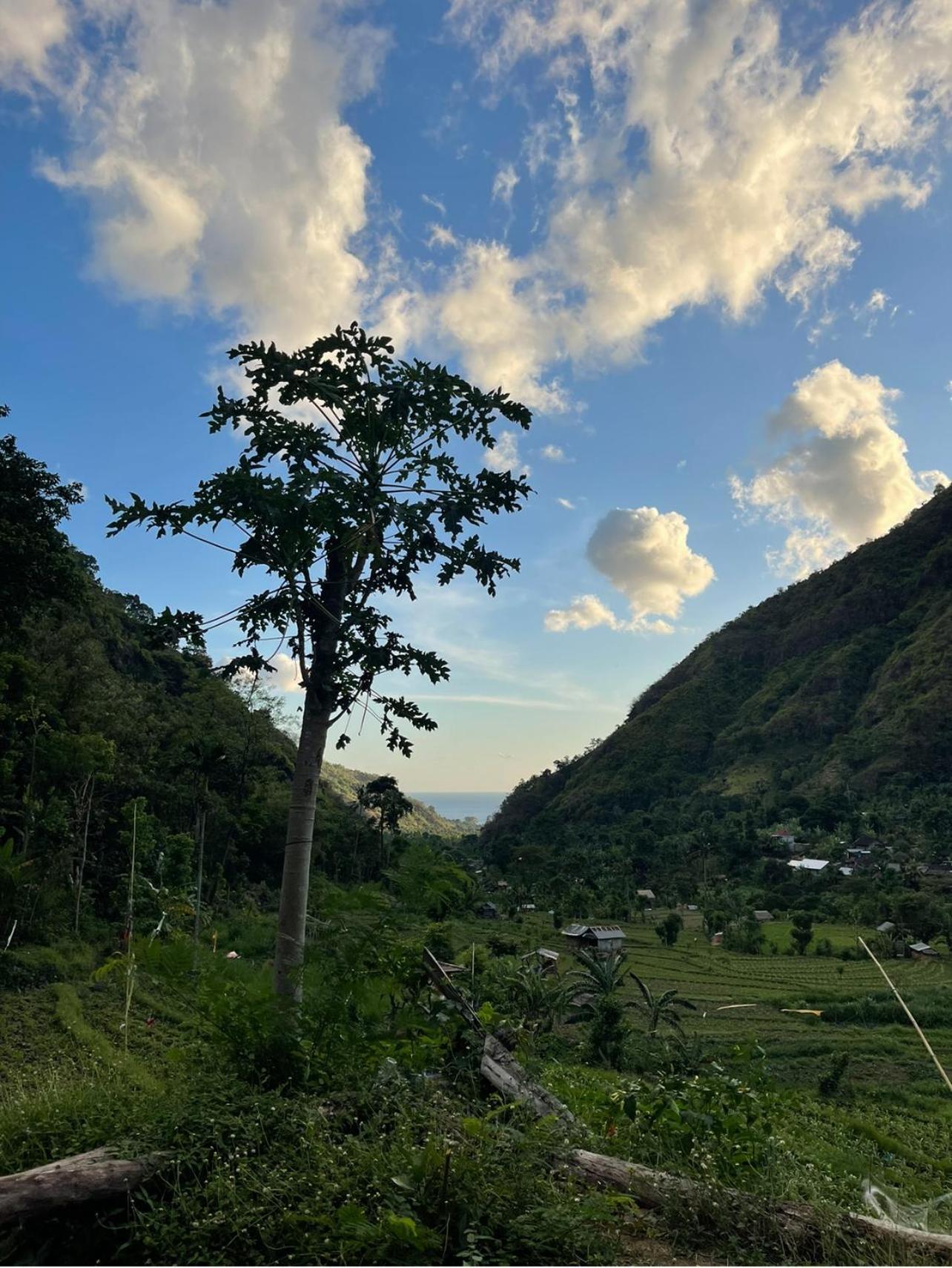 Tropical Habitat Bali Βίλα Αμέντ Εξωτερικό φωτογραφία