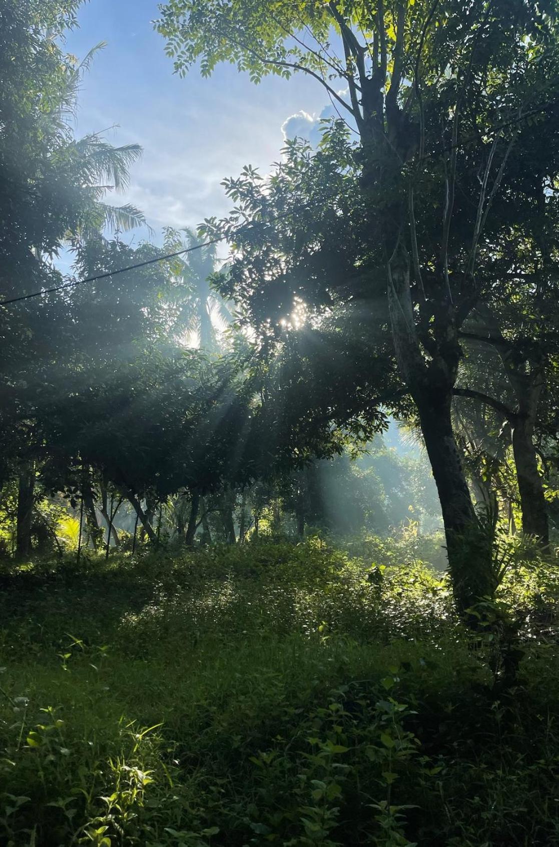 Tropical Habitat Bali Βίλα Αμέντ Εξωτερικό φωτογραφία