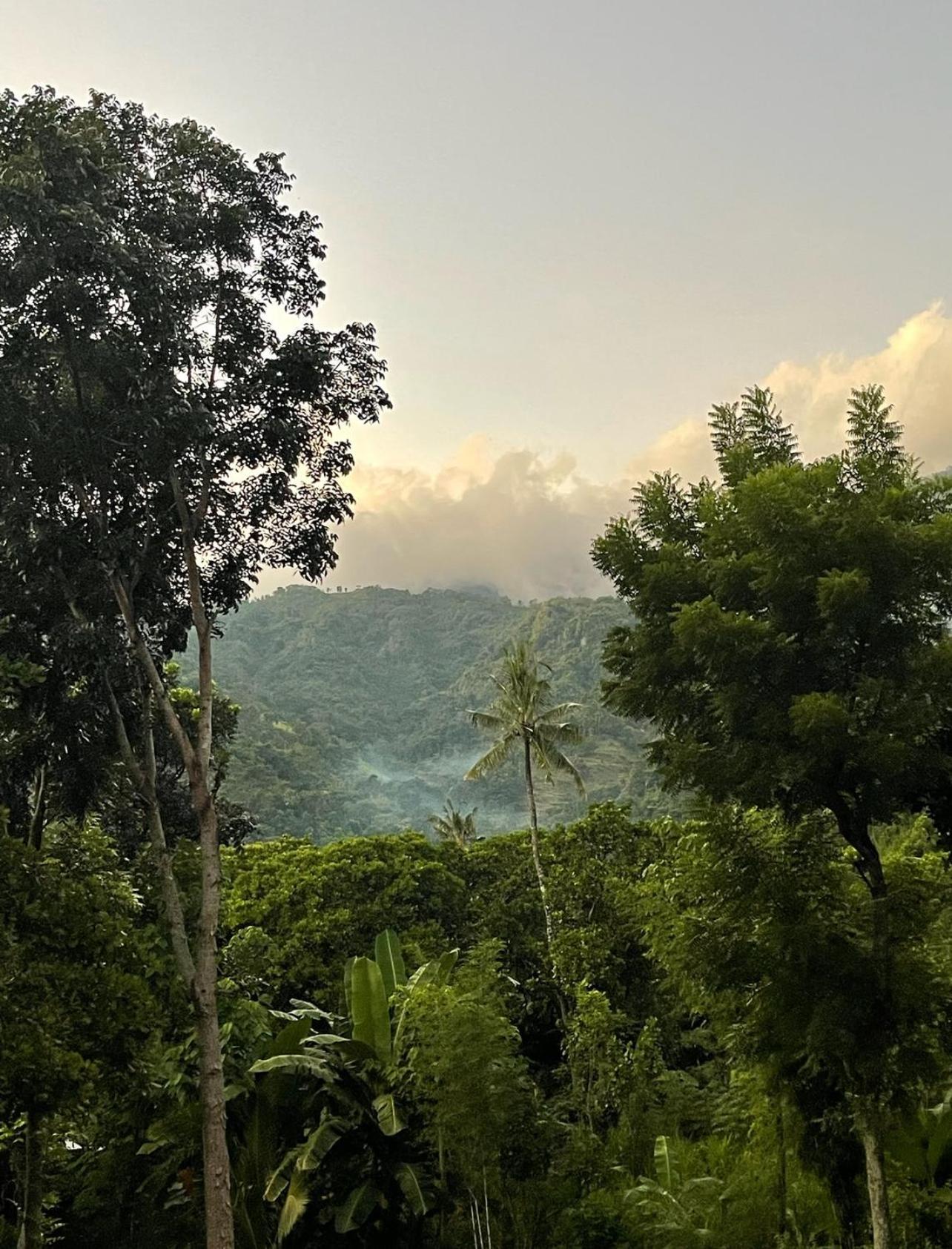 Tropical Habitat Bali Βίλα Αμέντ Εξωτερικό φωτογραφία