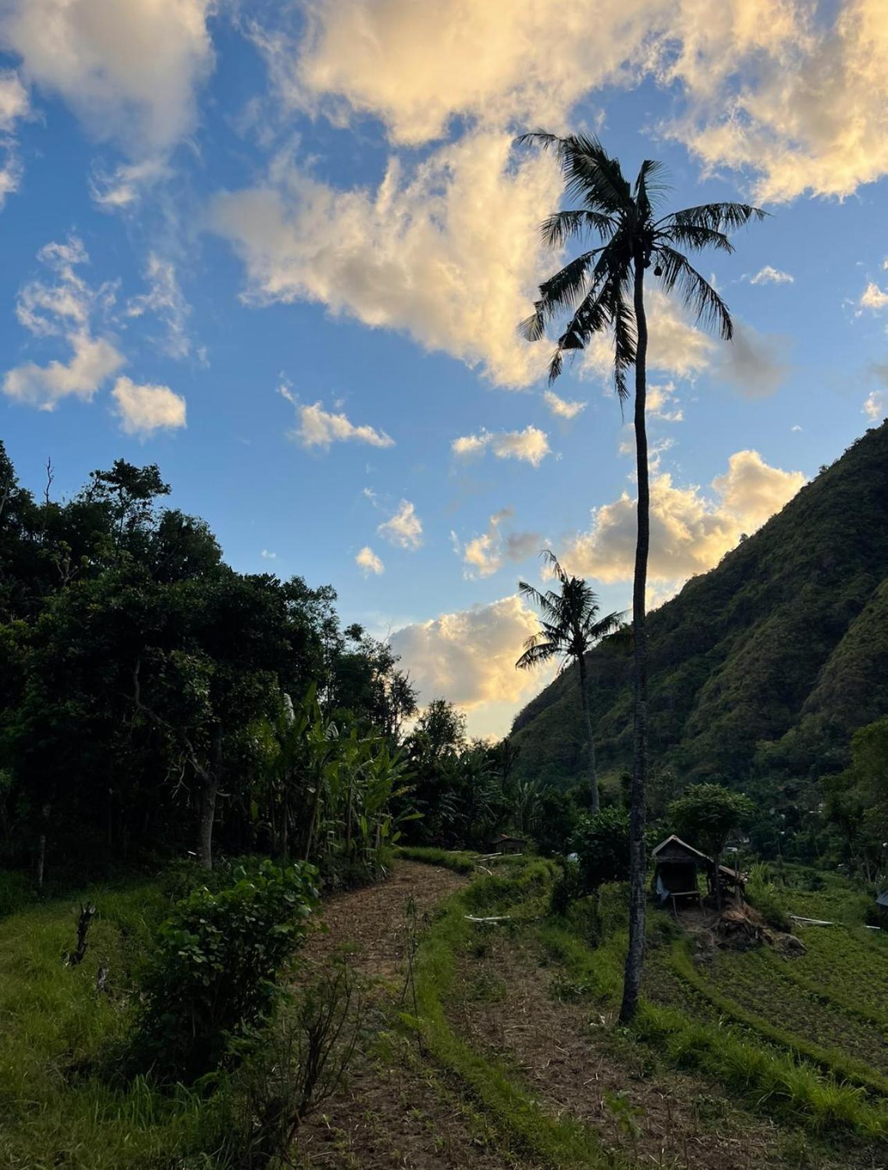 Tropical Habitat Bali Βίλα Αμέντ Εξωτερικό φωτογραφία