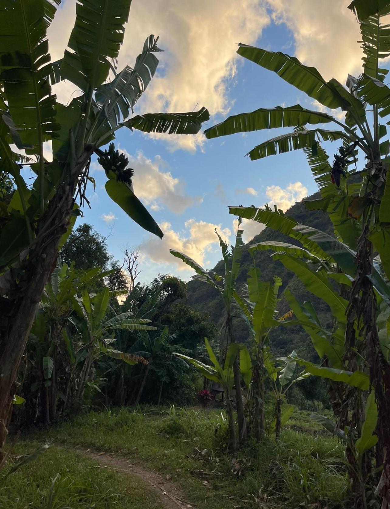 Tropical Habitat Bali Βίλα Αμέντ Εξωτερικό φωτογραφία