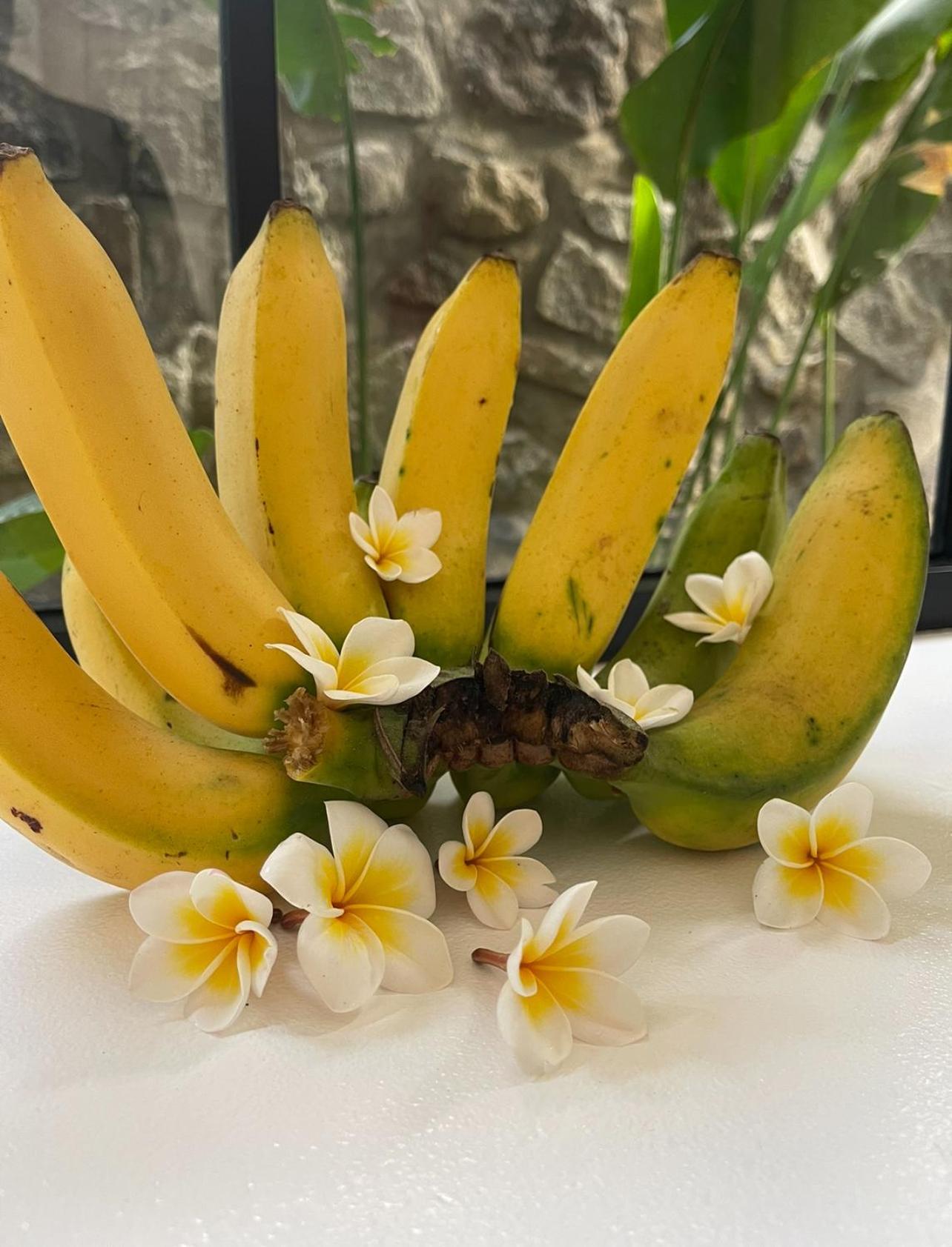 Tropical Habitat Bali Βίλα Αμέντ Εξωτερικό φωτογραφία