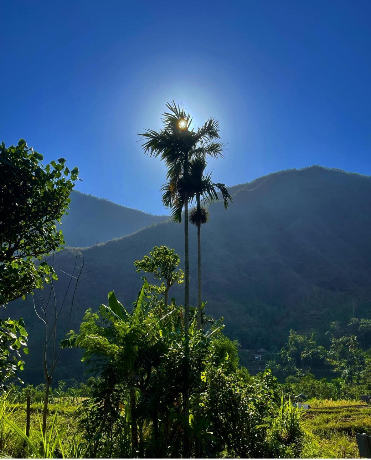 Tropical Habitat Bali Βίλα Αμέντ Εξωτερικό φωτογραφία