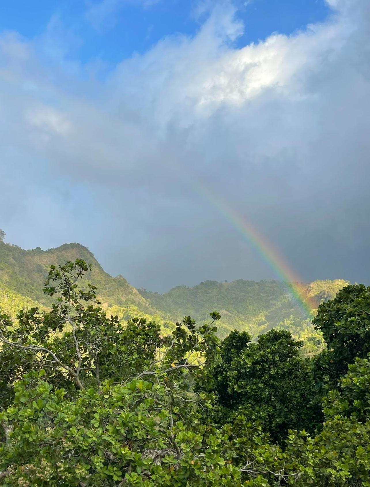 Tropical Habitat Bali Βίλα Αμέντ Εξωτερικό φωτογραφία