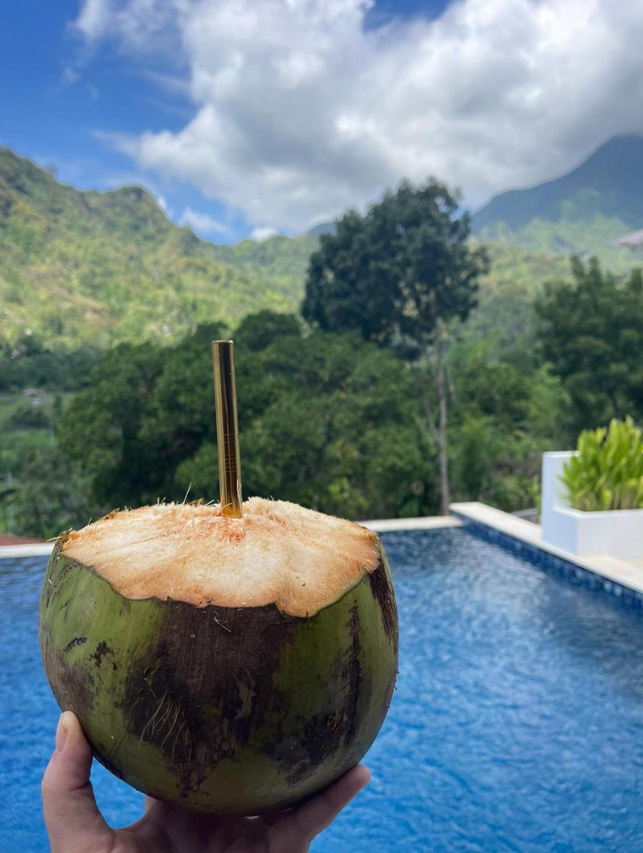 Tropical Habitat Bali Βίλα Αμέντ Εξωτερικό φωτογραφία
