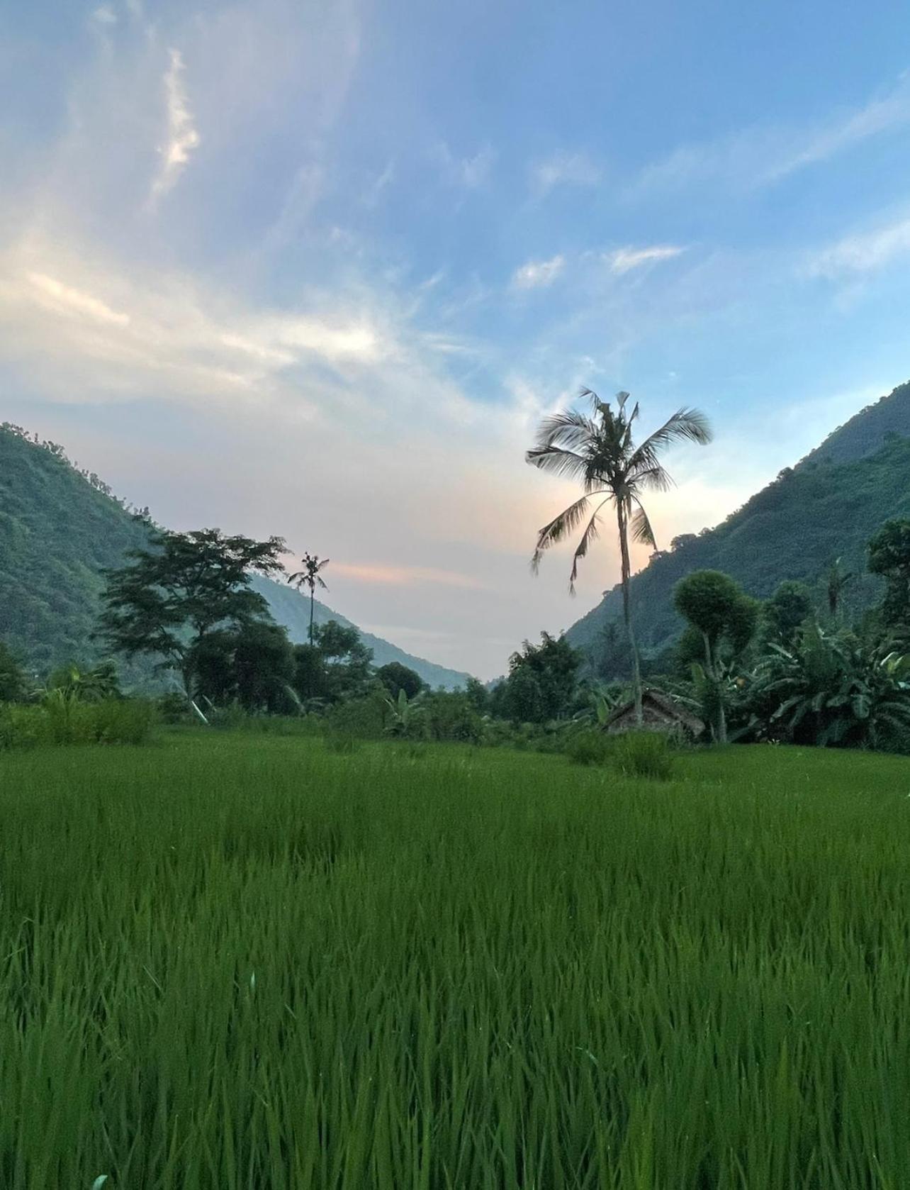 Tropical Habitat Bali Βίλα Αμέντ Εξωτερικό φωτογραφία